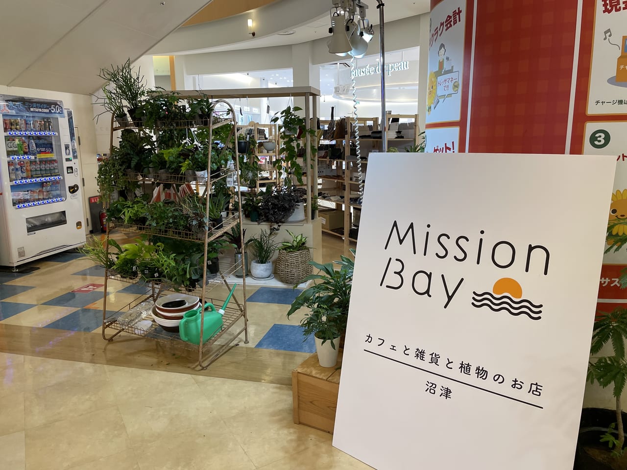 MissionBayトレッサ横浜期間限定ショップ