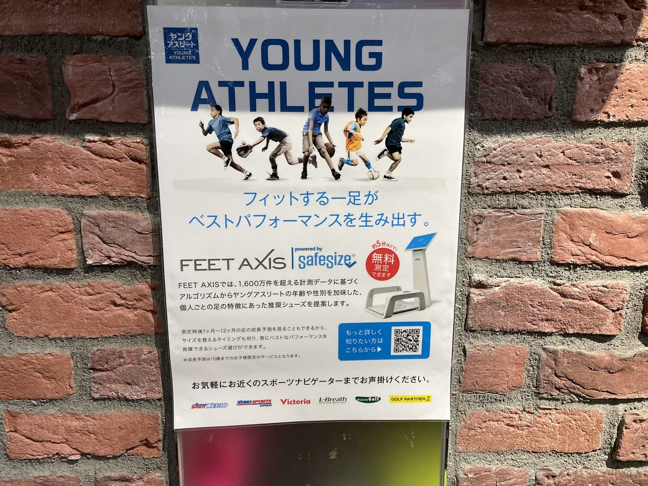 スーパースポーツゼビオトレッサ横浜店　フィートアクシス 　