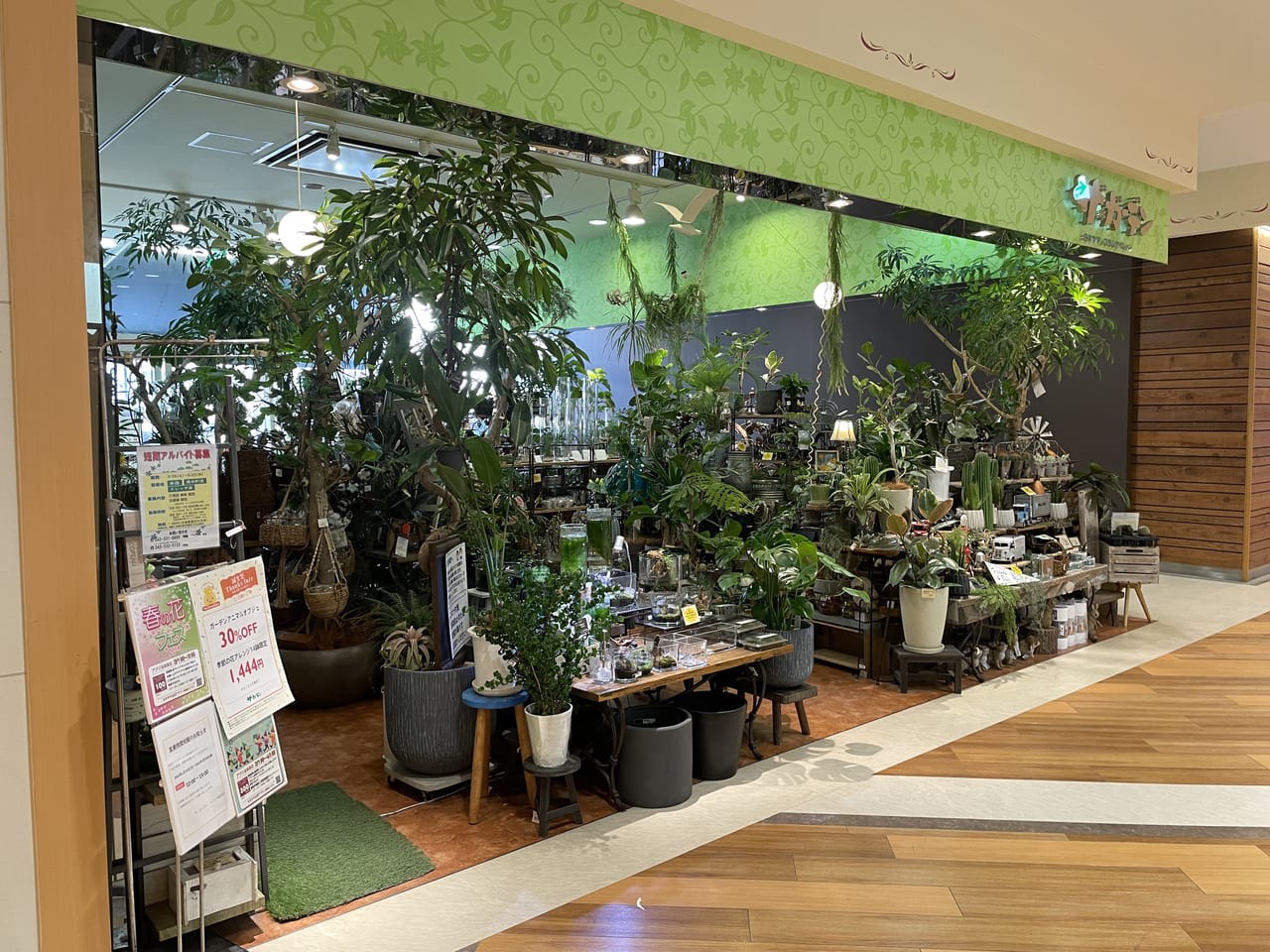 ザ・ガーデントレッサ横浜店　ガーデンフェア